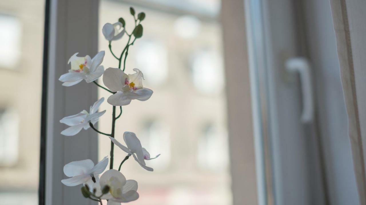 "D&M" Studio Apartments Загреб Екстериор снимка